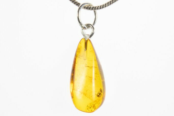 Polished Baltic Amber Pendant (Necklace) - Contains Ant! #311000